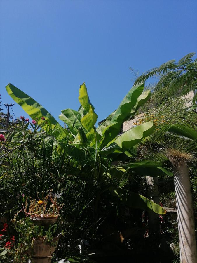 Magnoliia Hotel Sukhumi Bagian luar foto