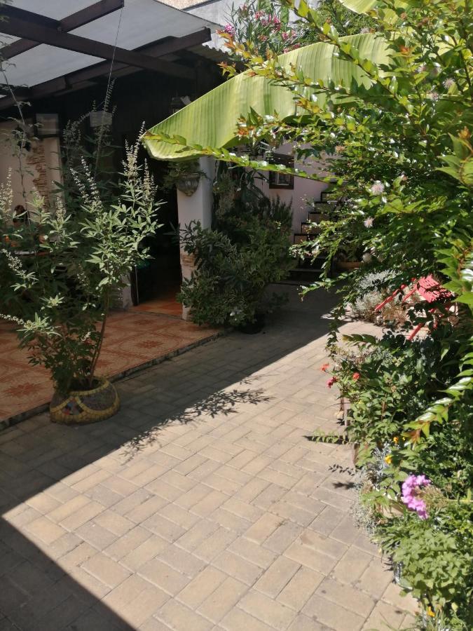 Magnoliia Hotel Sukhumi Bagian luar foto