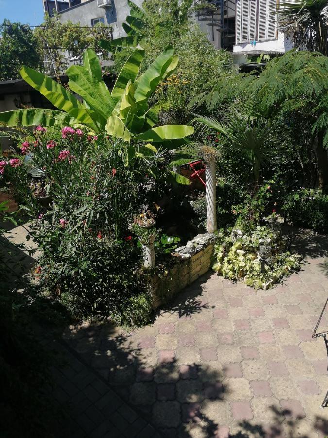 Magnoliia Hotel Sukhumi Bagian luar foto