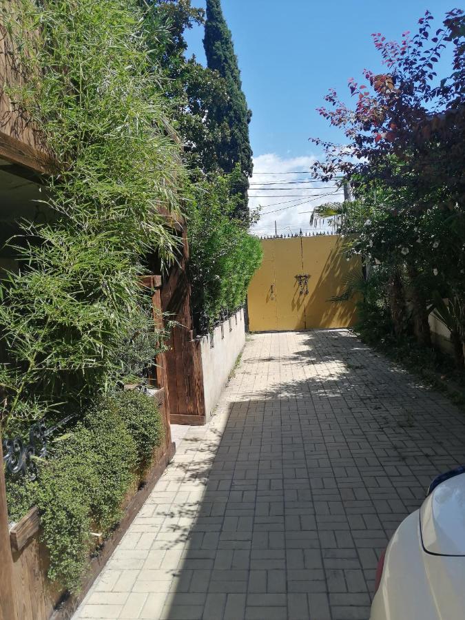 Magnoliia Hotel Sukhumi Bagian luar foto