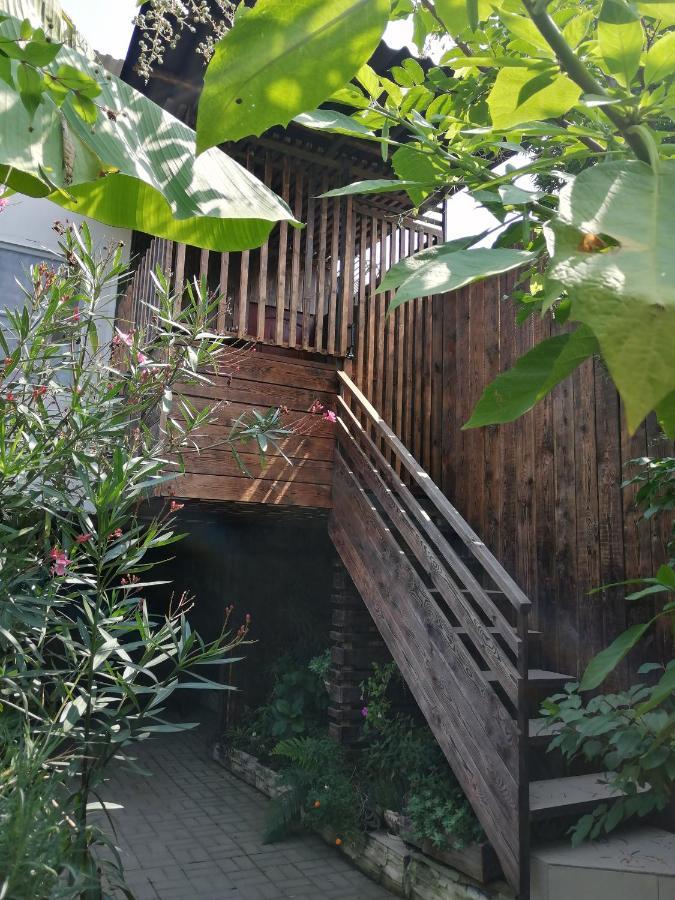 Magnoliia Hotel Sukhumi Bagian luar foto