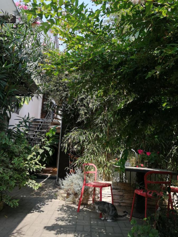 Magnoliia Hotel Sukhumi Bagian luar foto