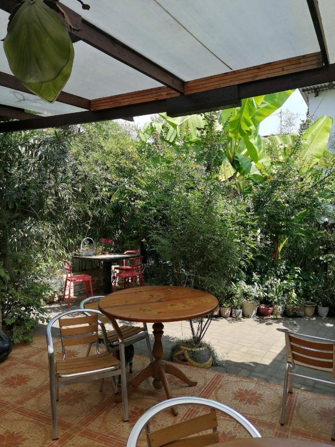 Magnoliia Hotel Sukhumi Bagian luar foto