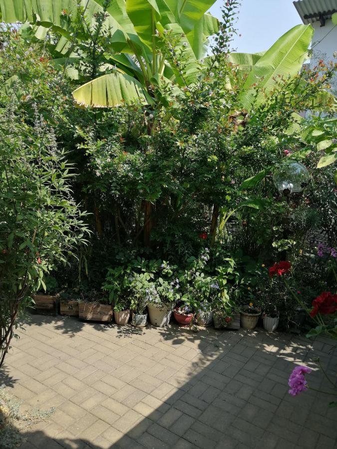 Magnoliia Hotel Sukhumi Bagian luar foto