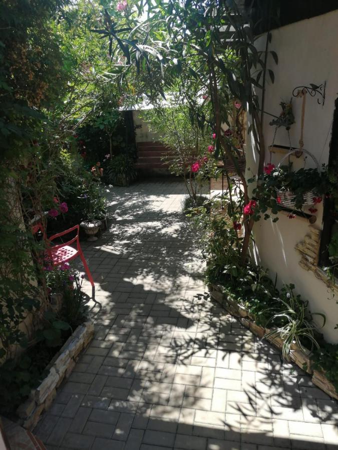 Magnoliia Hotel Sukhumi Bagian luar foto