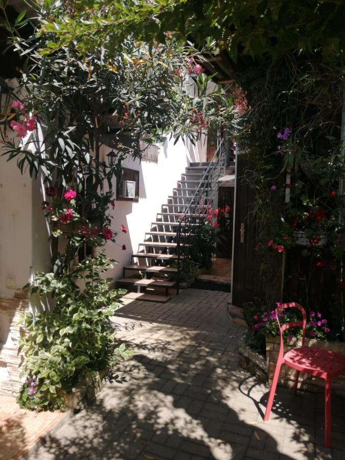 Magnoliia Hotel Sukhumi Bagian luar foto