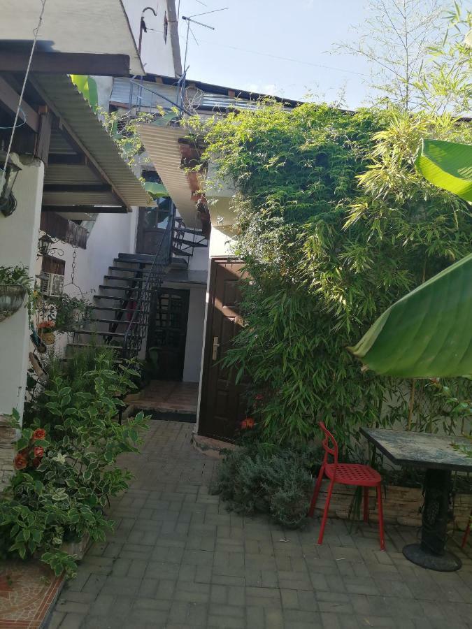 Magnoliia Hotel Sukhumi Bagian luar foto